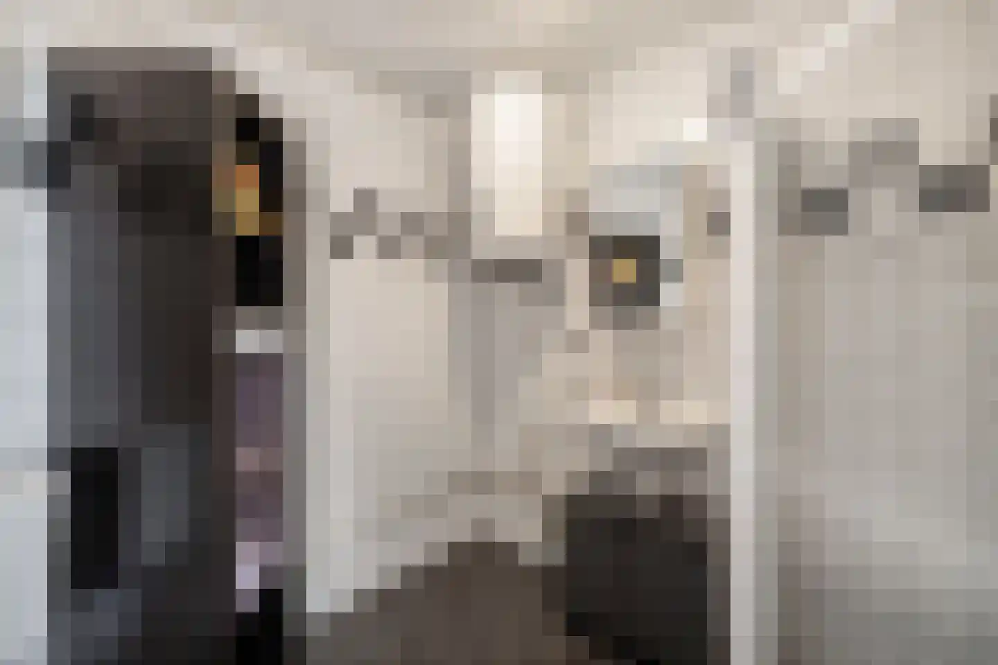 Draaikom 44 Huizen thumbnail 21