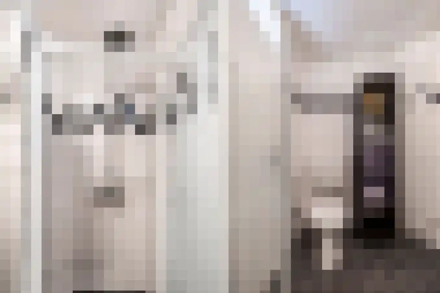 Draaikom 44 Huizen thumbnail 22