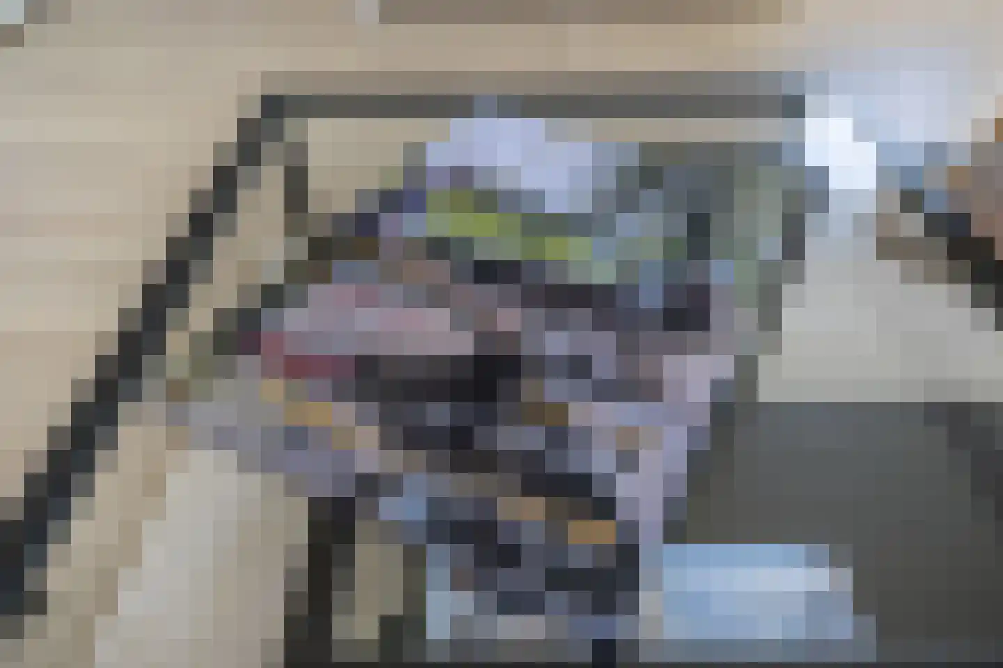 Draaikom 44 Huizen thumbnail 9