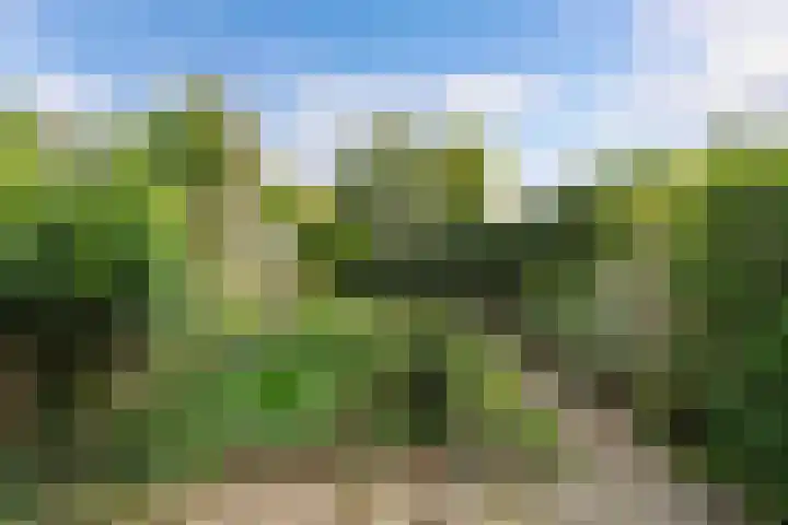 Draaikom 63 Huizen thumbnail 10