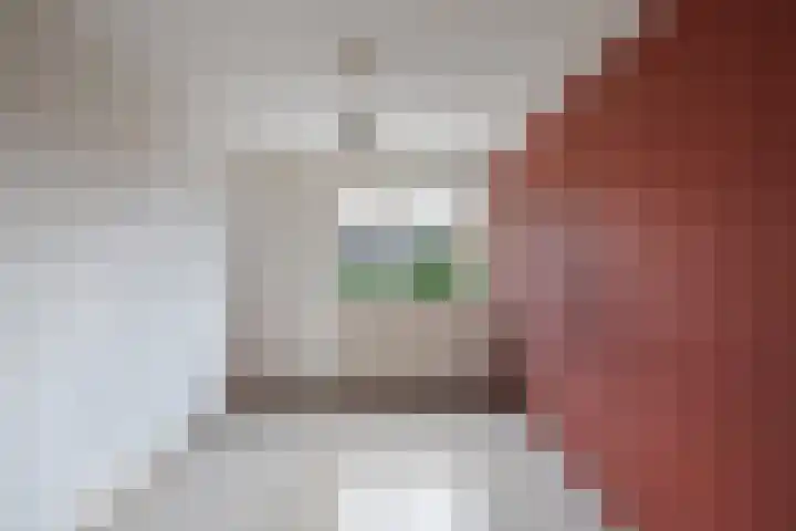 Draaikom 63 Huizen thumbnail 17