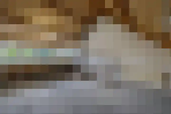 Draaikom 63 Huizen thumbnail 22