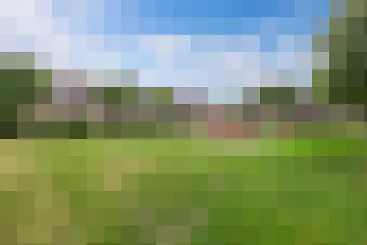 Draaikom 63 Huizen thumbnail 4