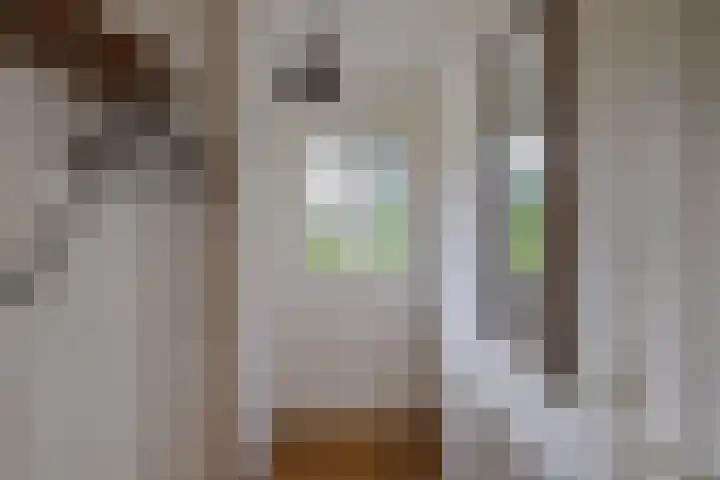 Draaikom 63 Huizen thumbnail 5