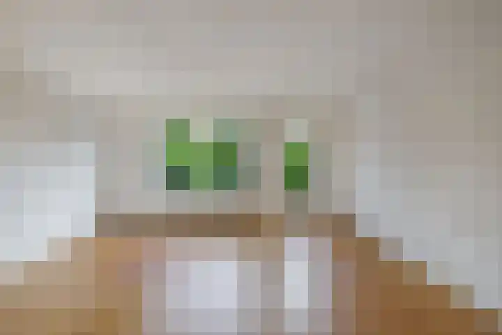 Draaikom 63 Huizen thumbnail 6