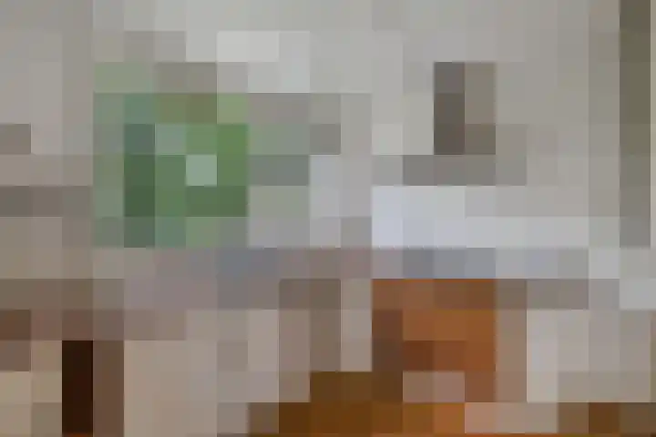 Draaikom 63 Huizen thumbnail 8