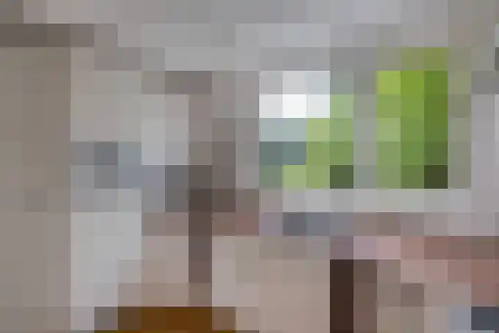Draaikom 63 Huizen thumbnail 9
