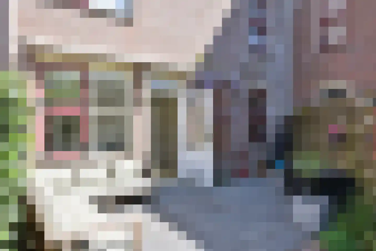 Draaikom 68 Huizen thumbnail 10