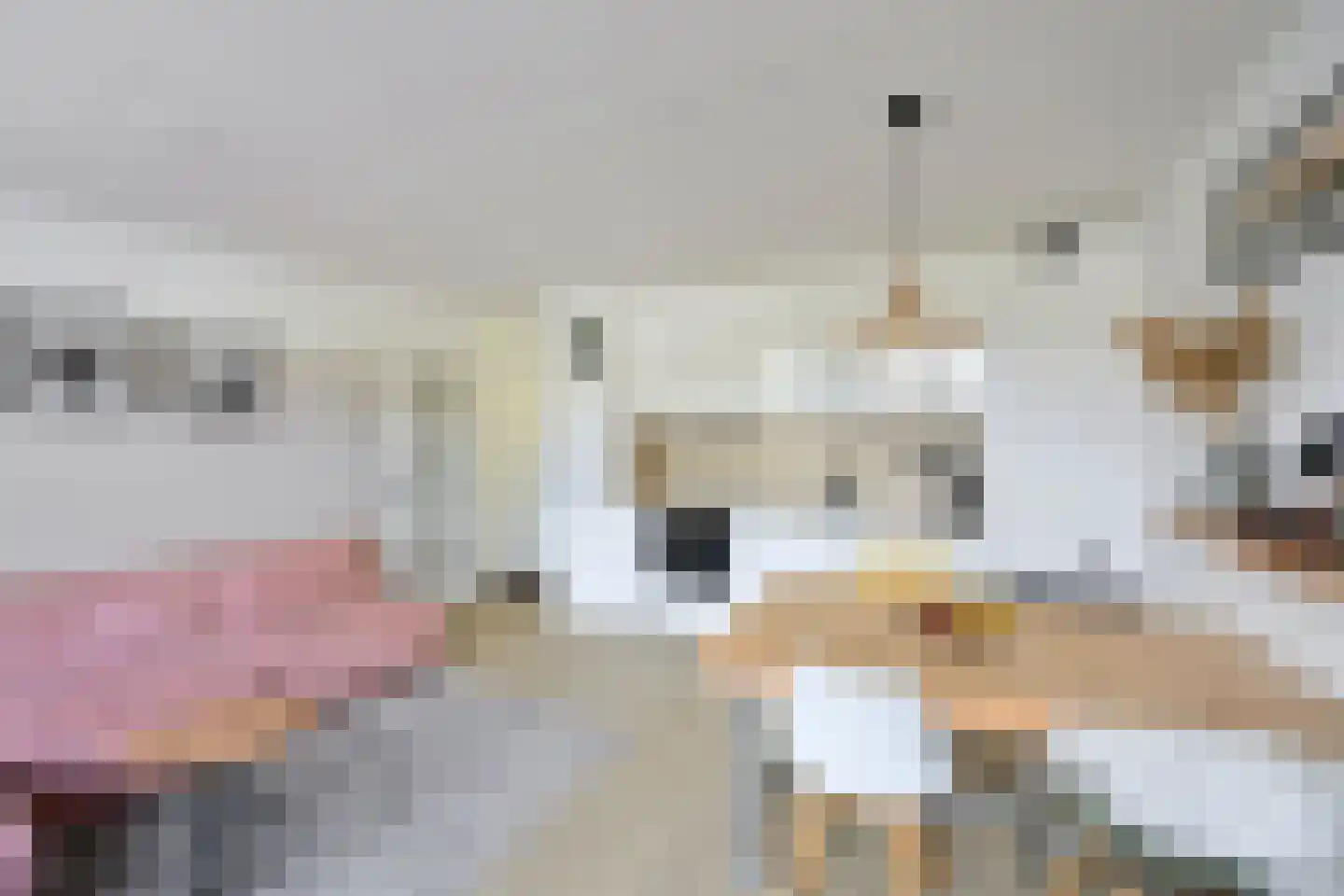 Draaikom 68 Huizen thumbnail 6