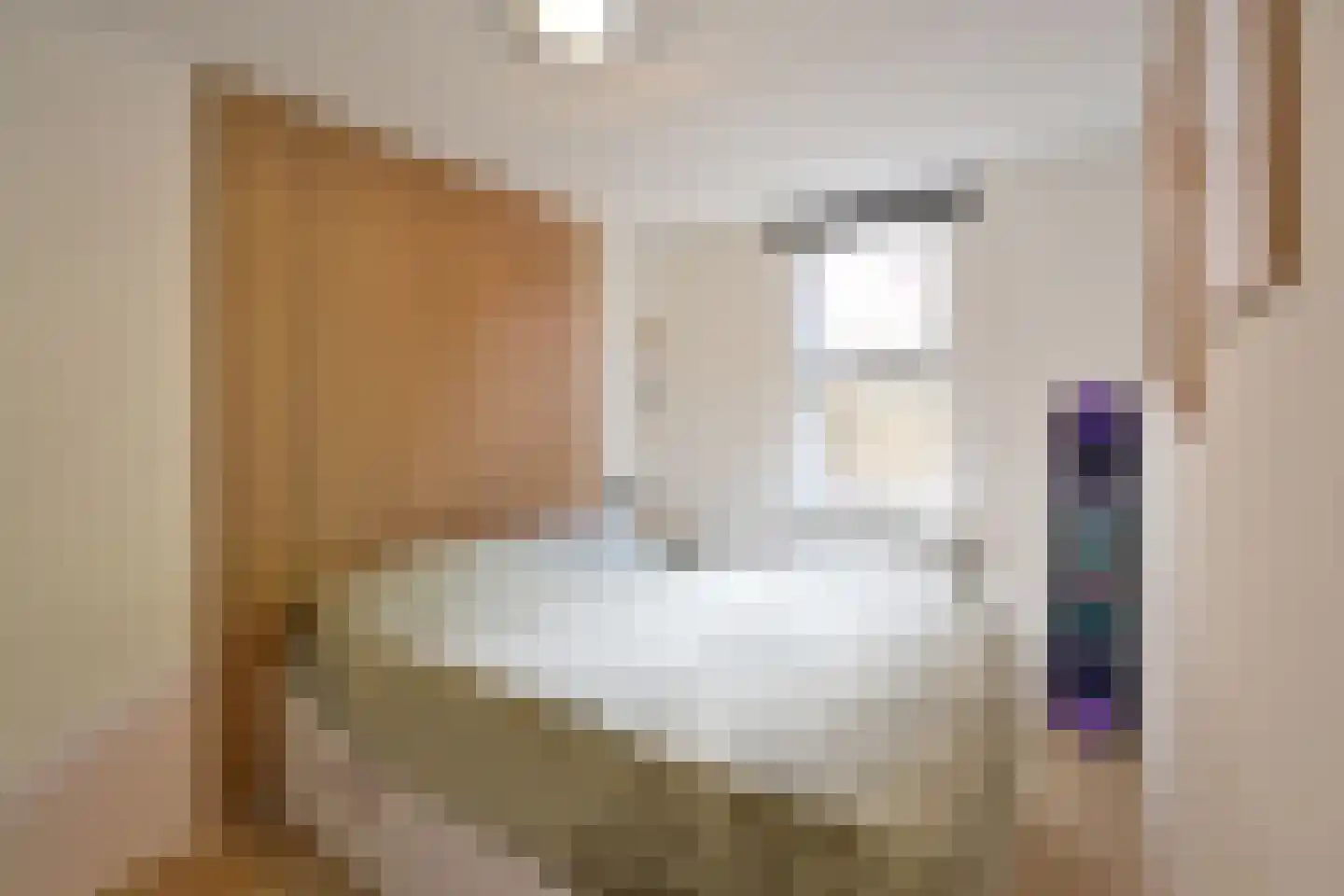 Draaikom 68 Huizen thumbnail 9