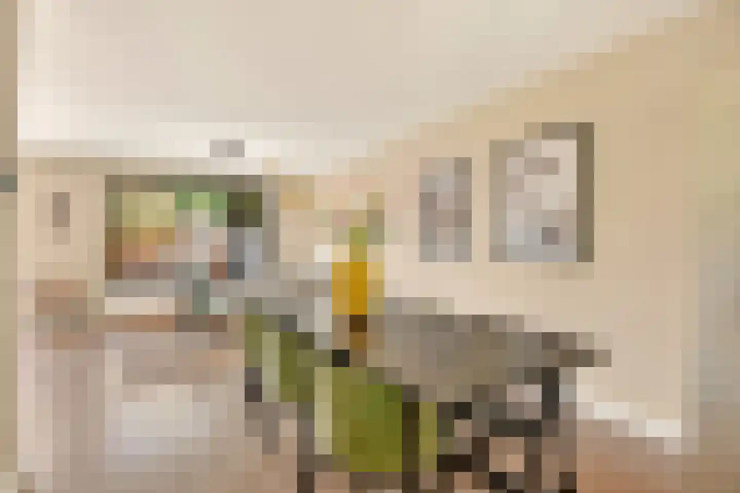 Draaikom 7 Huizen thumbnail 11