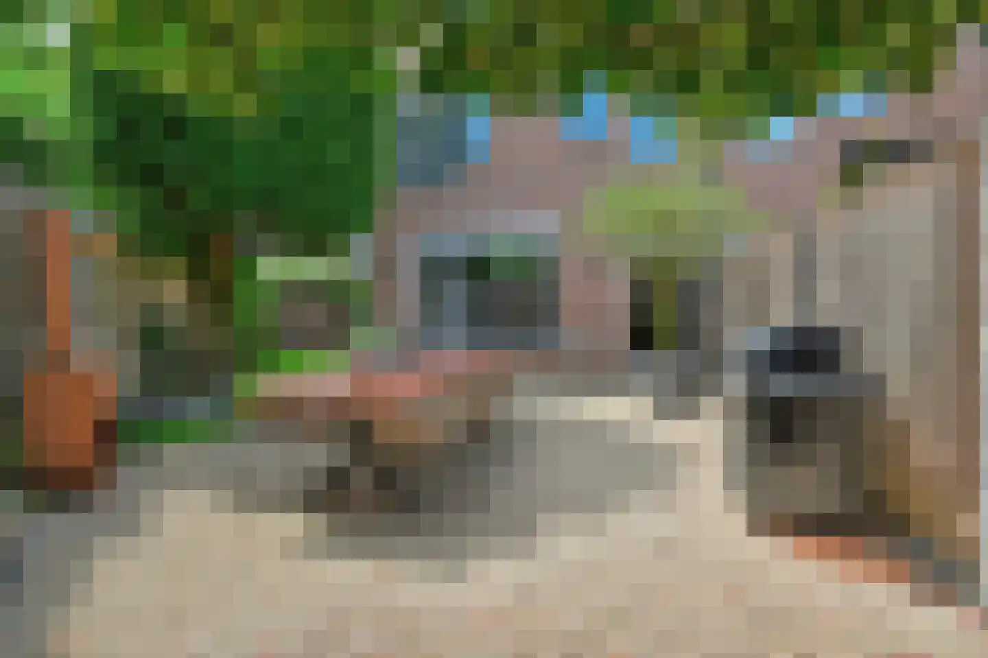Draaikom 7 Huizen thumbnail 13