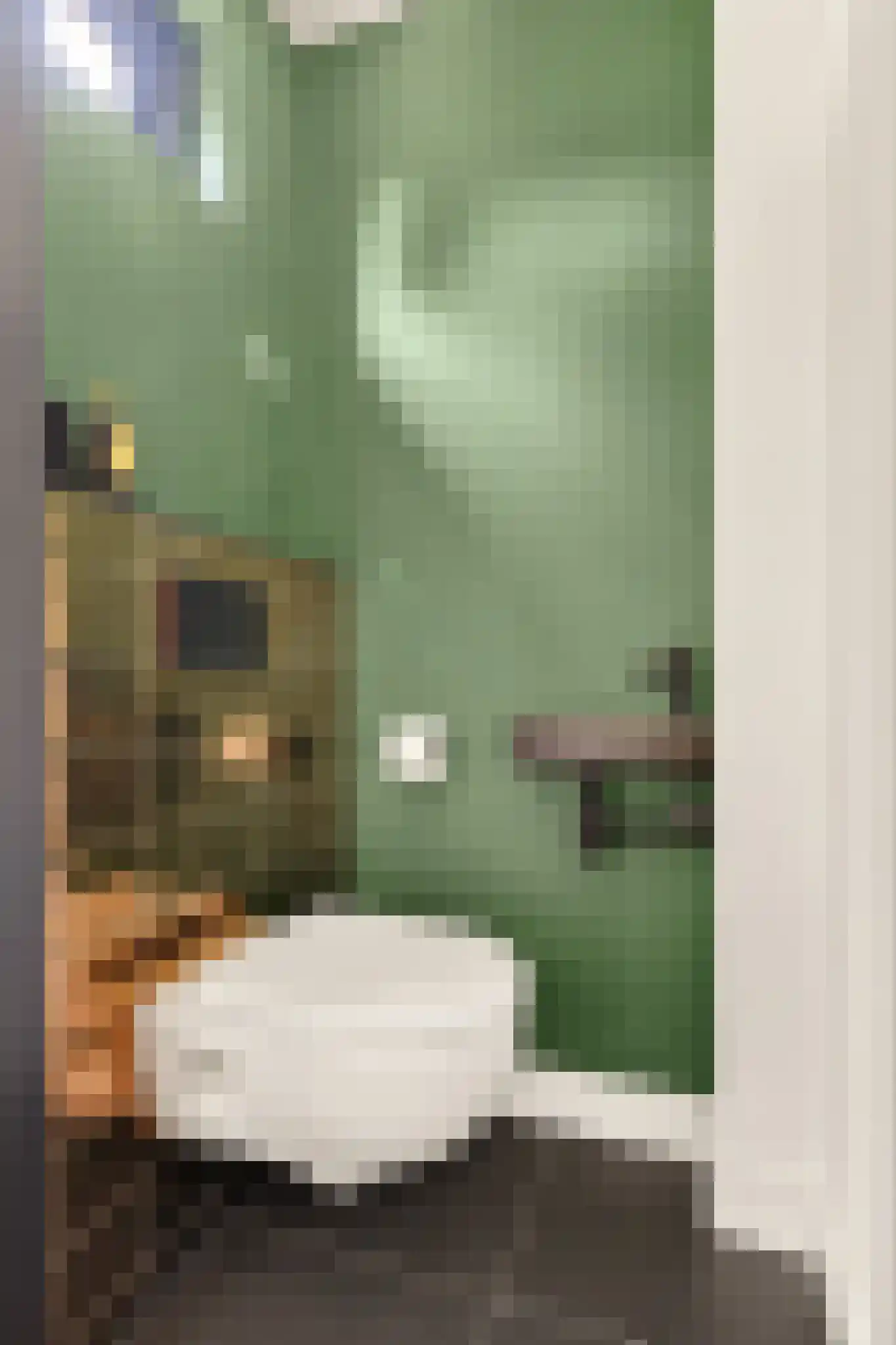 Draaikom 7 Huizen thumbnail 17