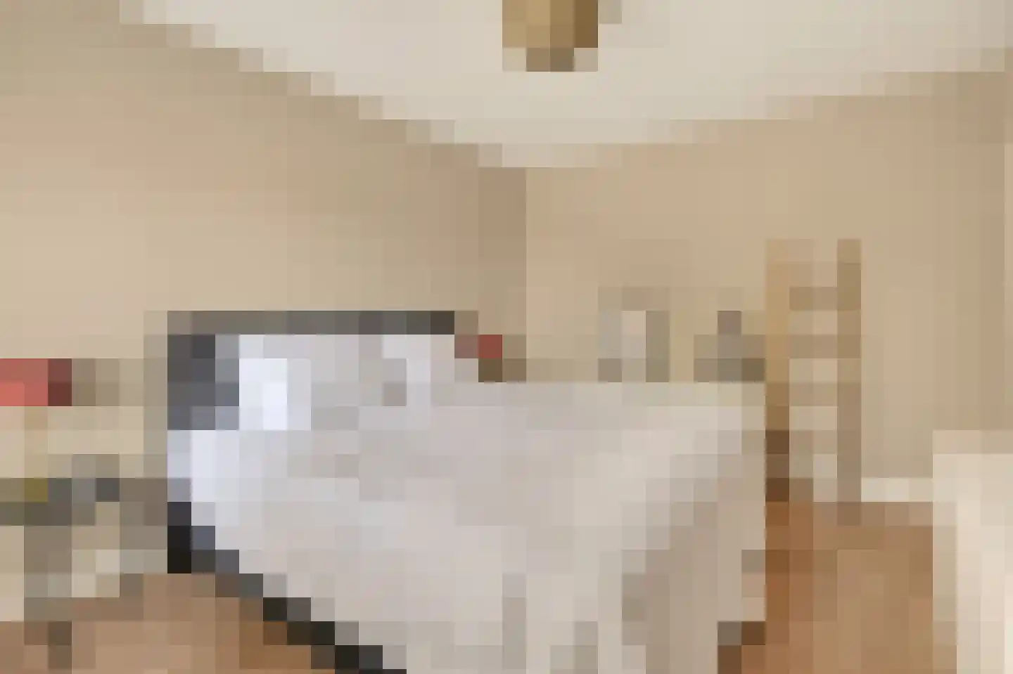 Draaikom 7 Huizen thumbnail 19