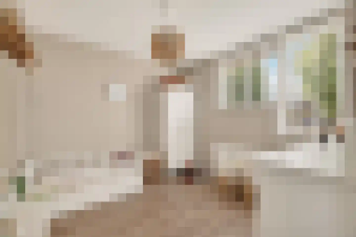 Draaikom 7 Huizen thumbnail 21