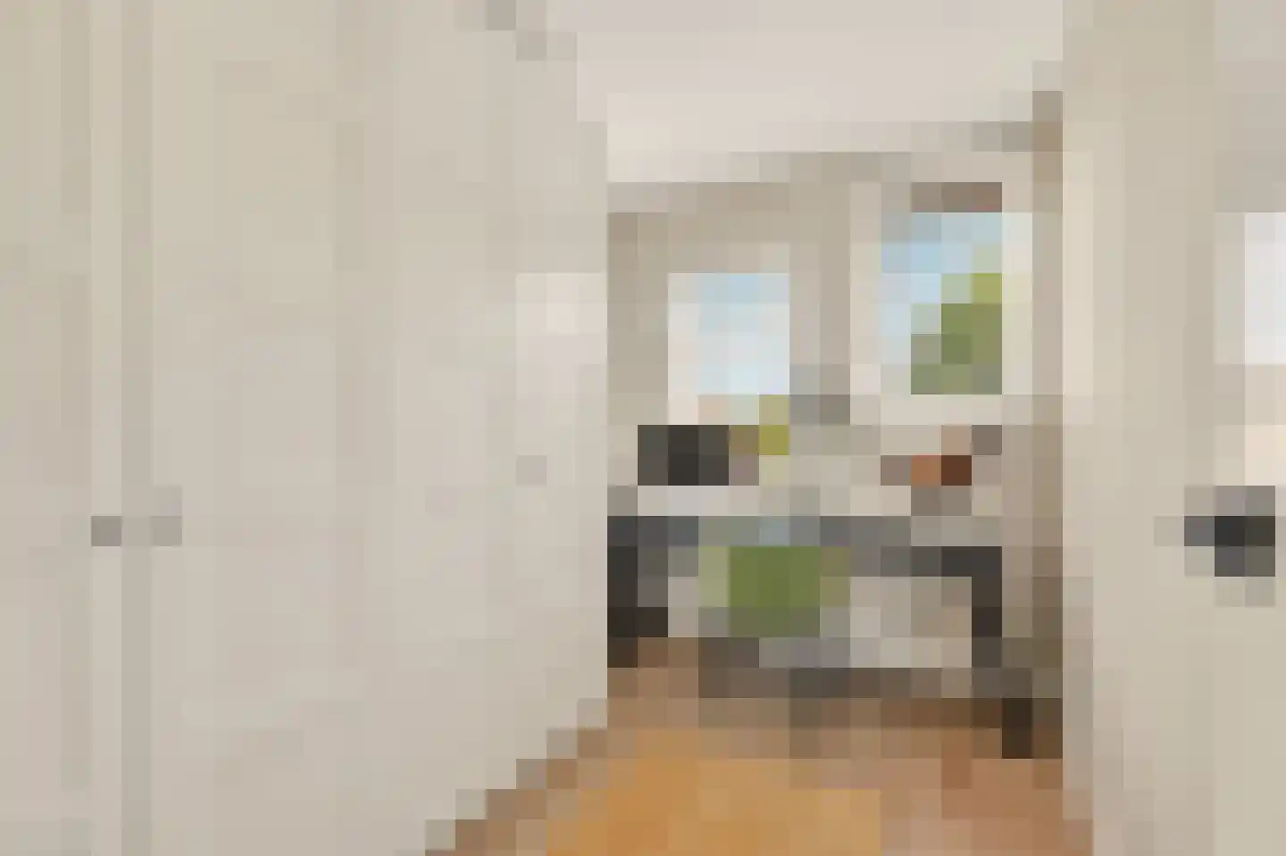 Draaikom 7 Huizen thumbnail 28