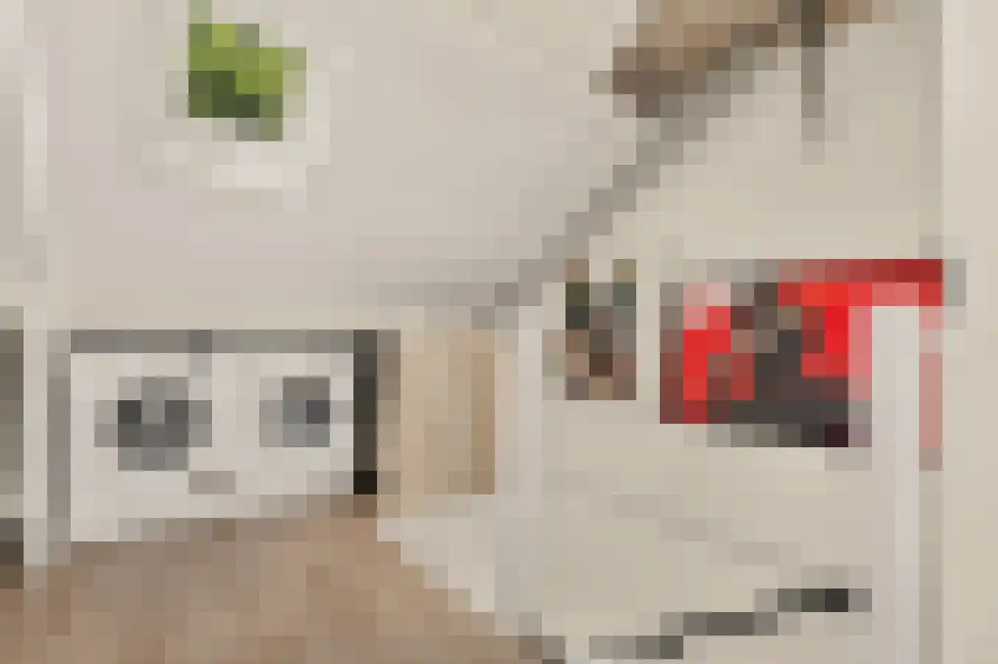 Draaikom 7 Huizen thumbnail 33