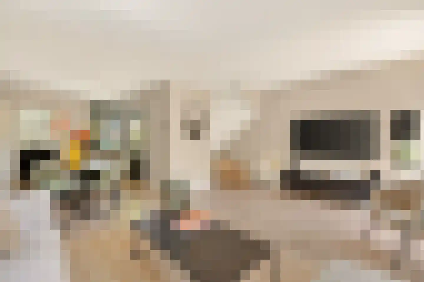 Draaikom 7 Huizen thumbnail 7
