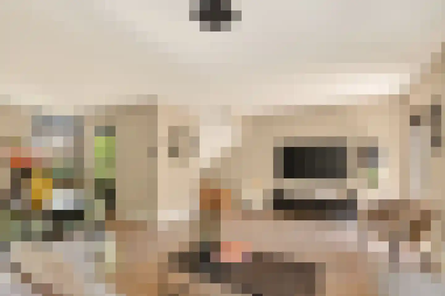 Draaikom 7 Huizen thumbnail 8