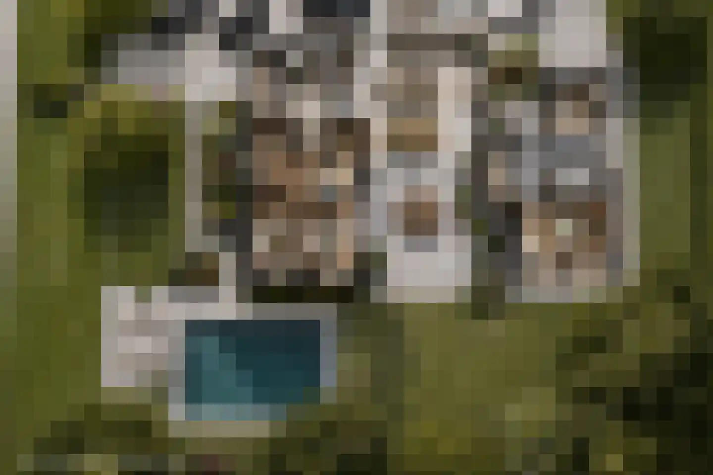Draaikom 77 dans Huizen