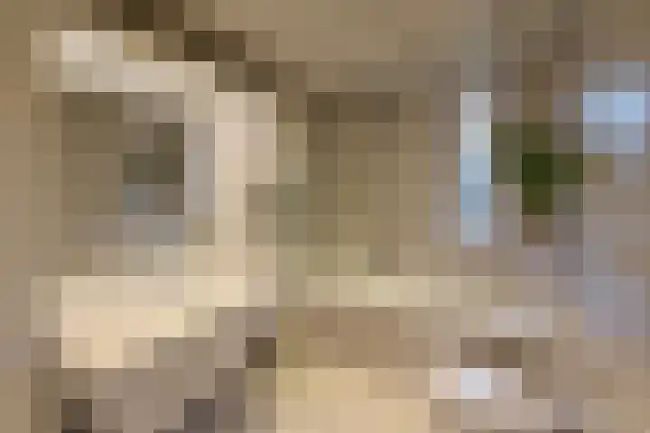 Draaikom 77 Huizen thumbnail 12