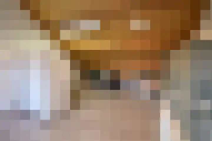 Draaikom 77 Huizen thumbnail 14