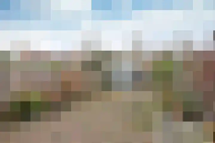 Draaikom 77 Huizen thumbnail 16