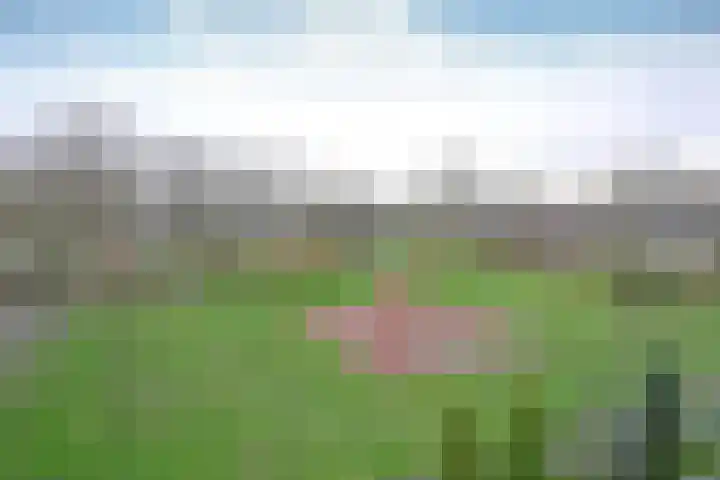 Draaikom 77 Huizen thumbnail 17