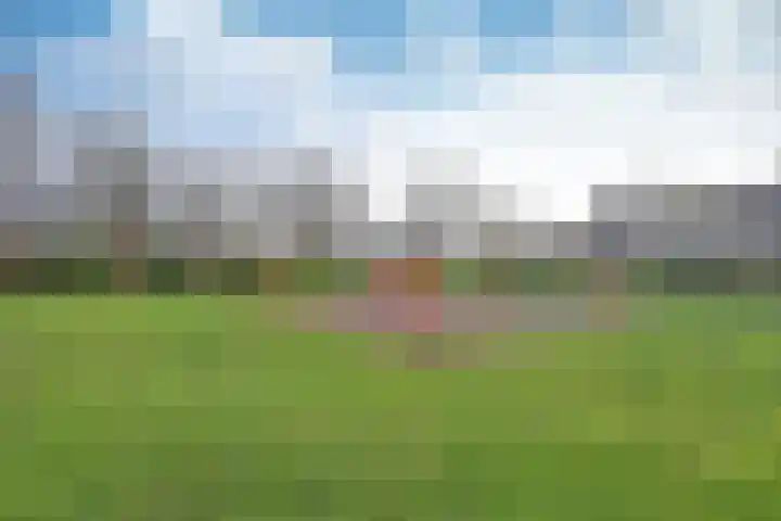 Draaikom 77 Huizen thumbnail 18