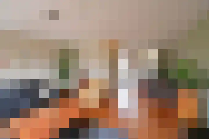 Draaikom 77 Huizen thumbnail 6