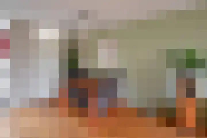 Draaikom 77 Huizen thumbnail 7
