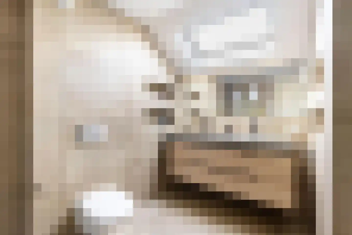 Draailier 12 Soest thumbnail 22