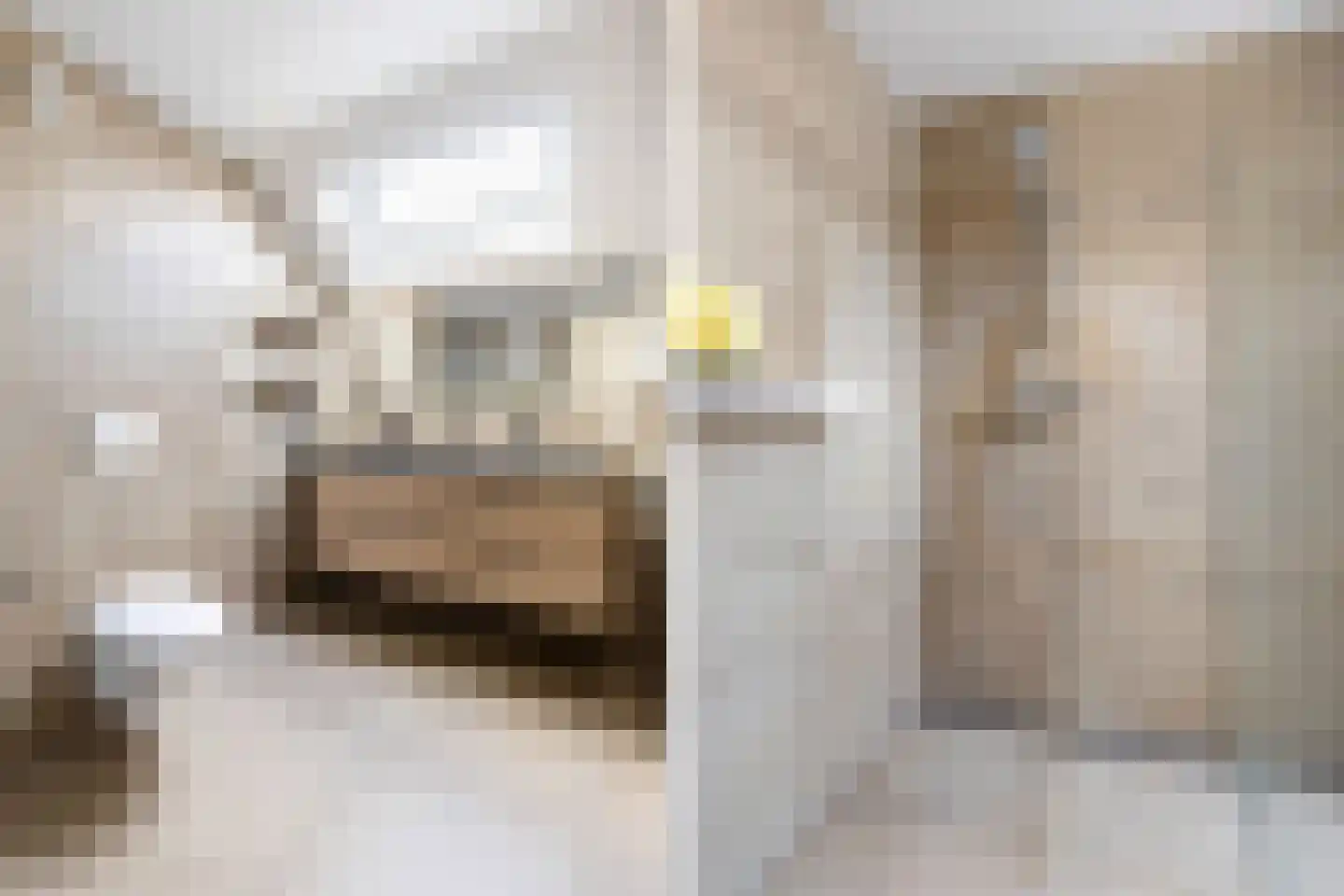 Draailier 12 Soest thumbnail 23
