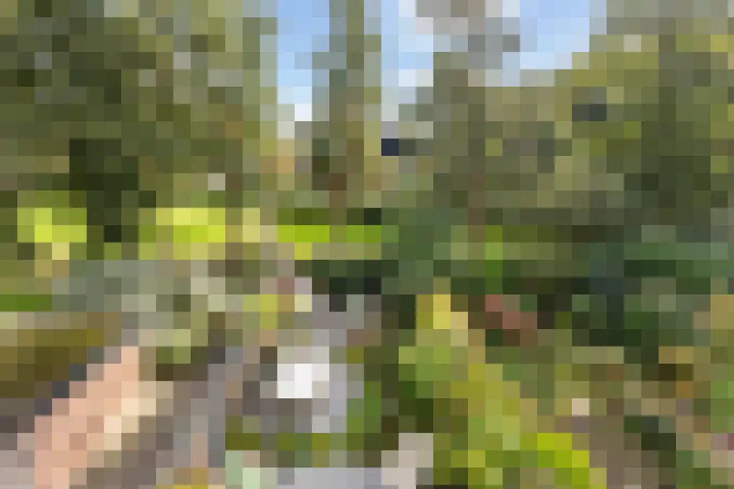 Draailier 12 Soest thumbnail 30