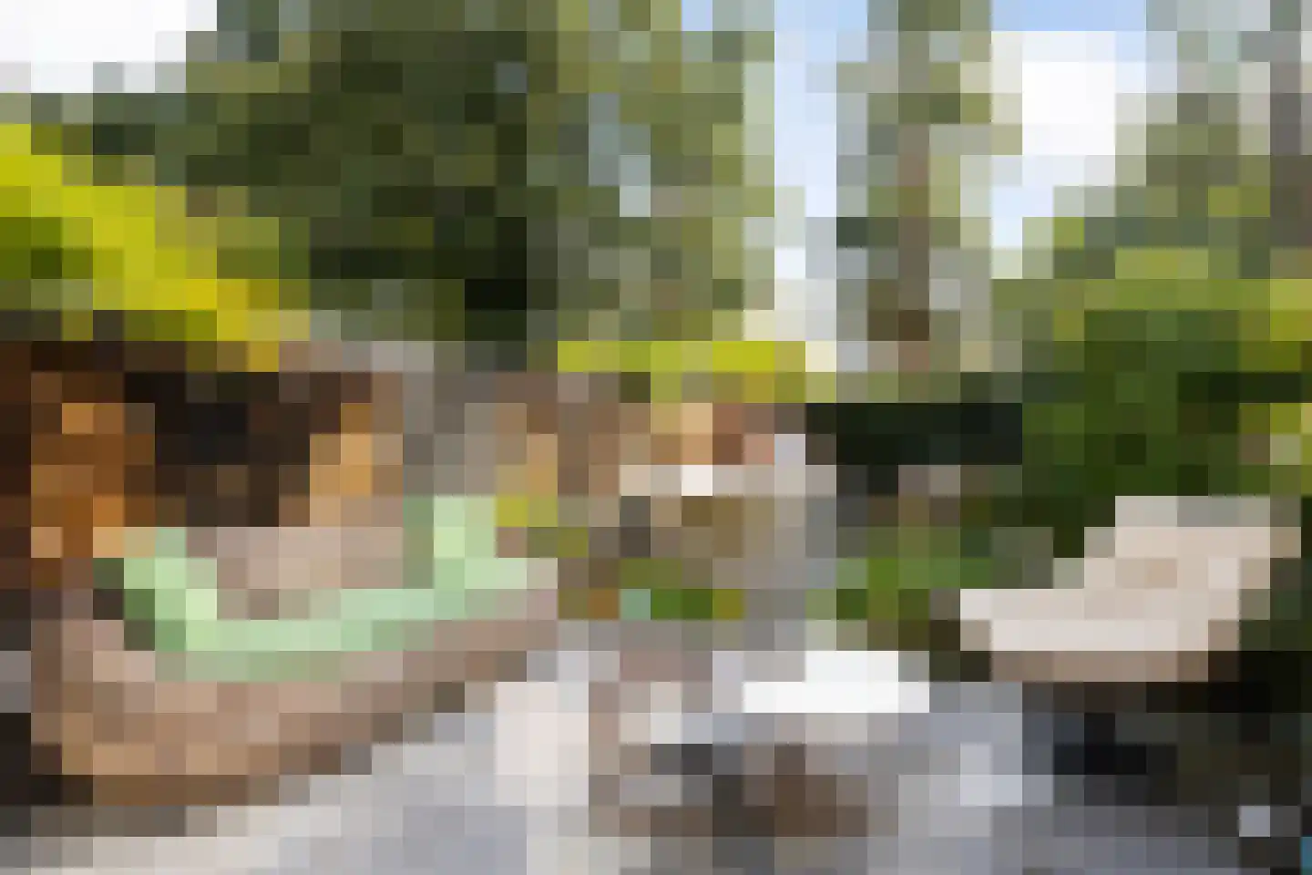 Draailier 12 Soest thumbnail 31