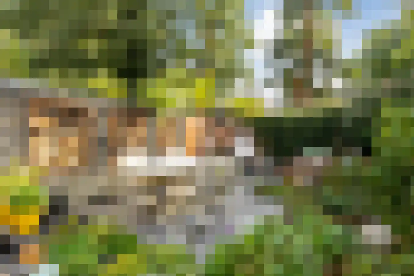 Draailier 12 Soest thumbnail 32