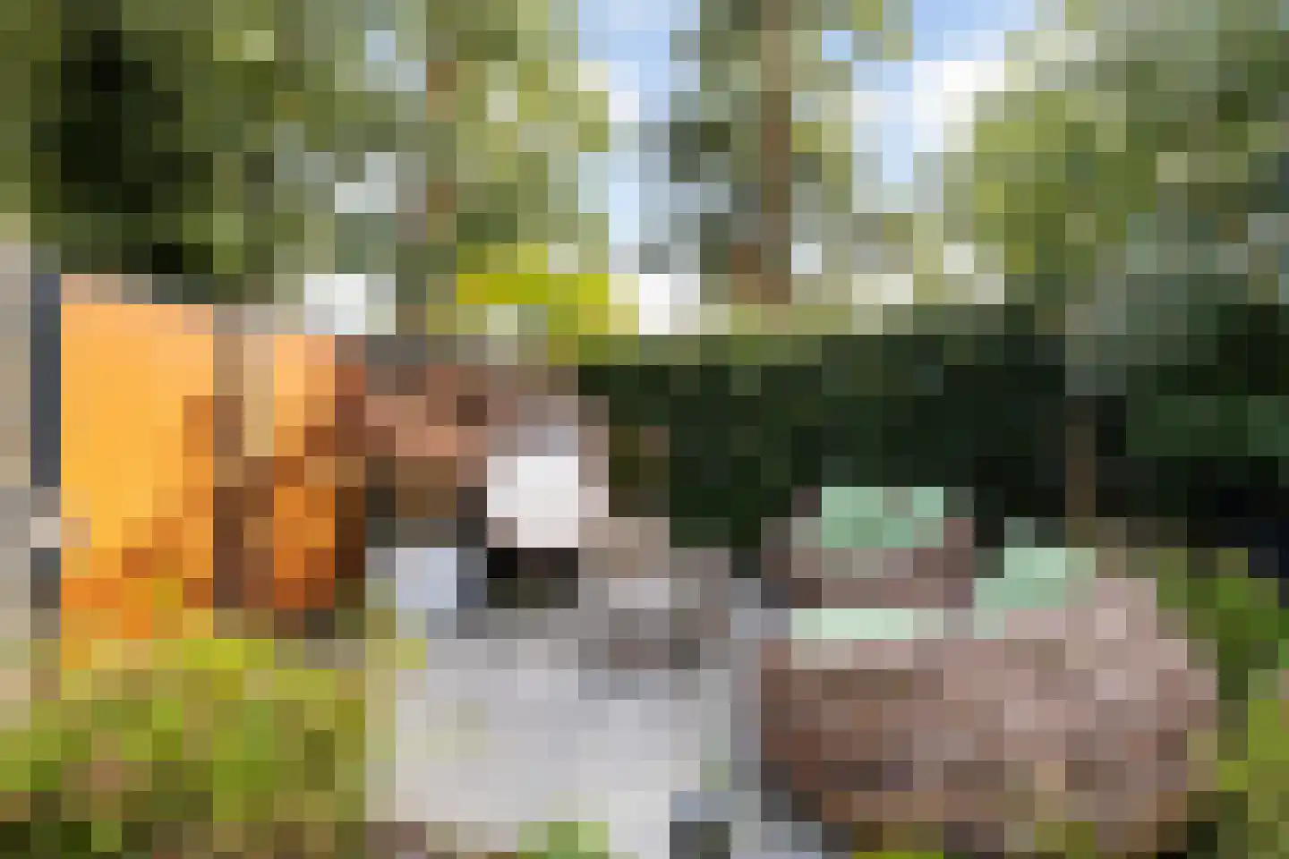 Draailier 12 Soest thumbnail 33