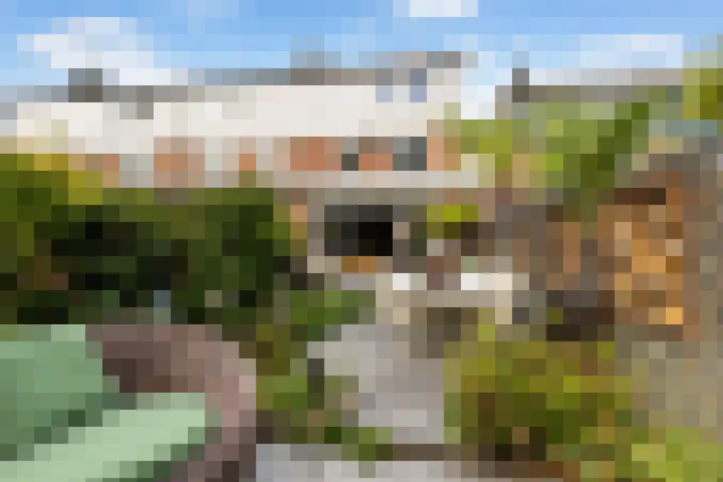 Draailier 12 Soest thumbnail 34