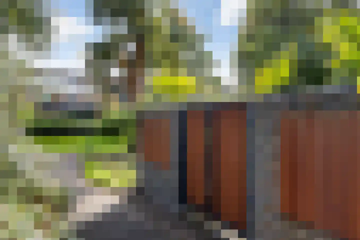 Draailier 12 Soest thumbnail 35