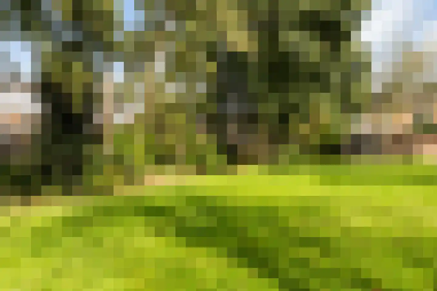 Draailier 12 Soest thumbnail 37