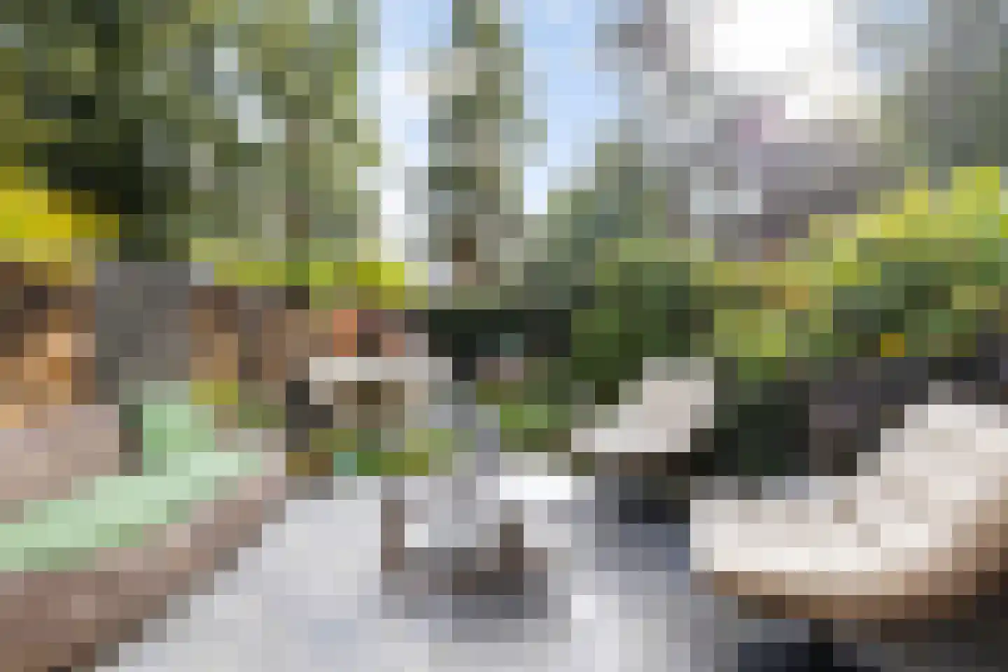 Draailier 12 Soest thumbnail 6