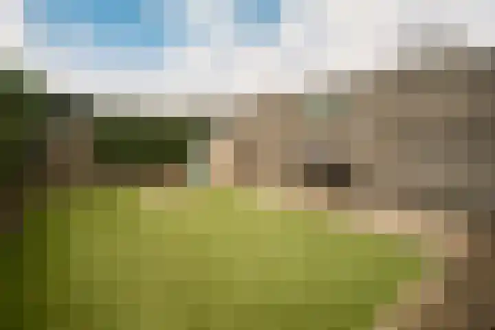Draailier 13 Soest thumbnail 42