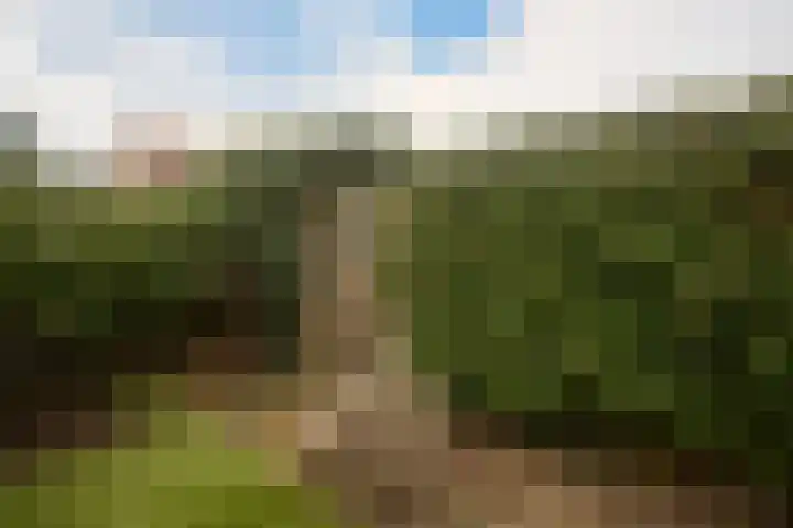 Draailier 13 Soest thumbnail 43