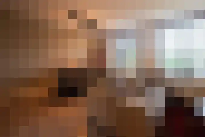 Draailier 13 Soest thumbnail 5