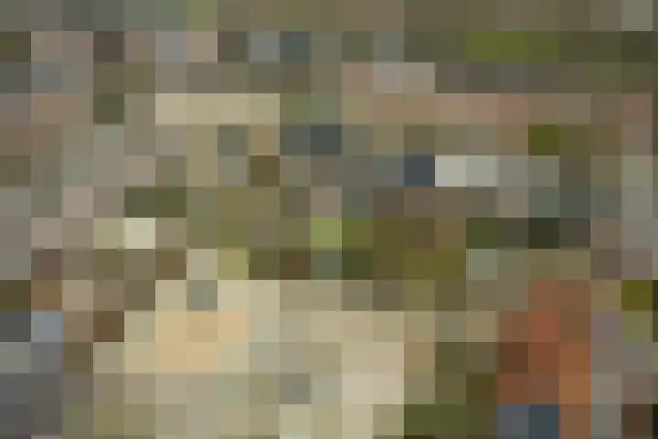Draailier 13 Soest thumbnail 52