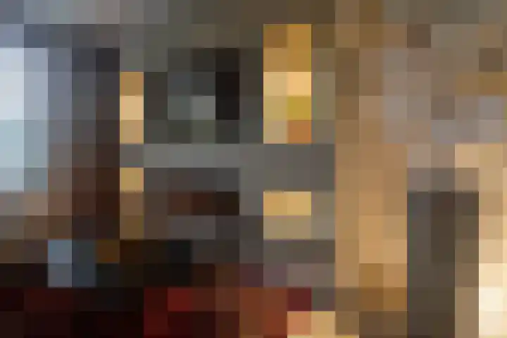 Draailier 13 Soest thumbnail 6