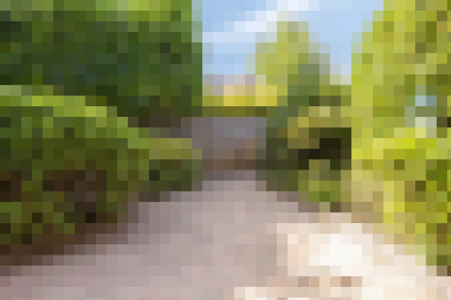 Draailier 43 Soest thumbnail 20