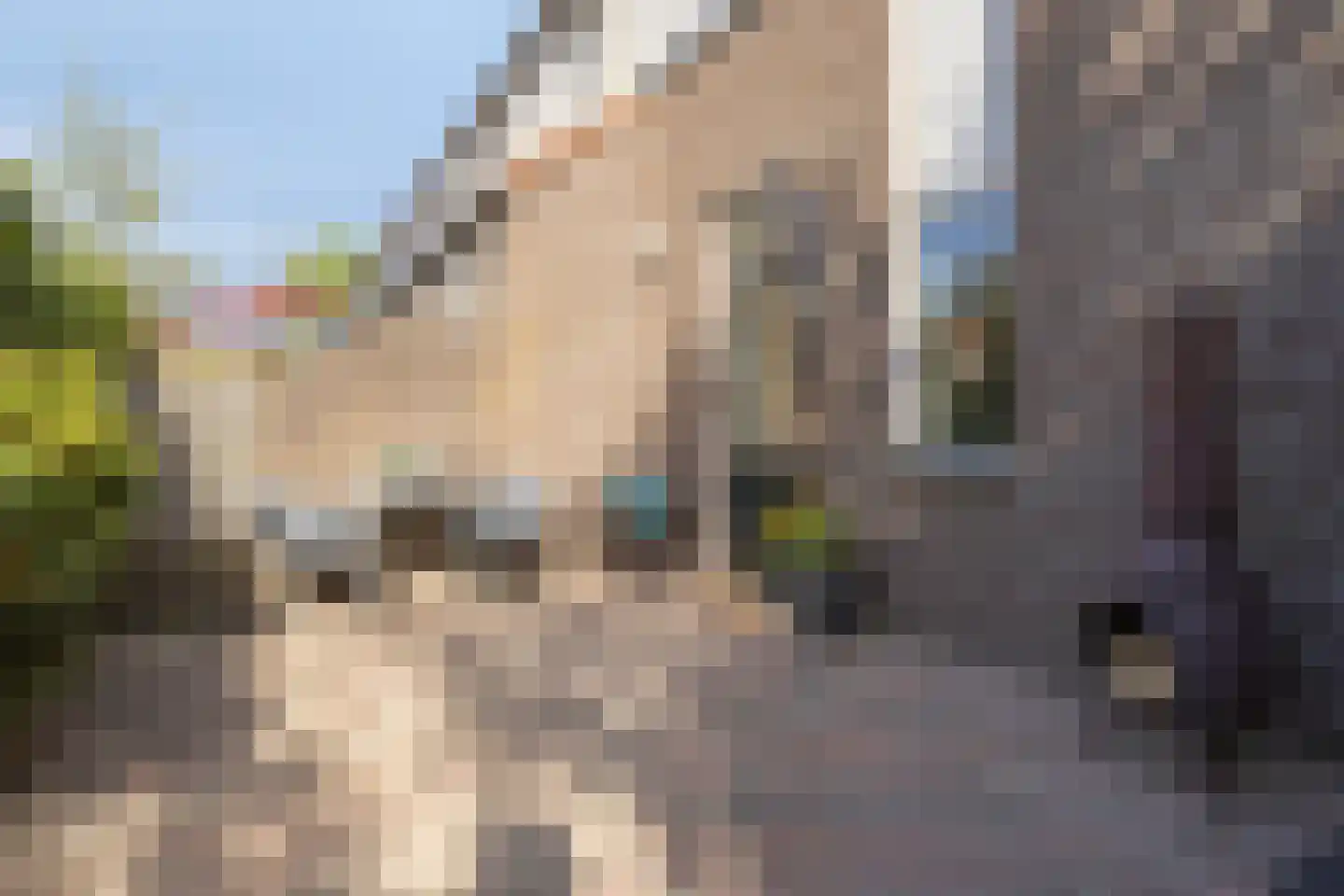 Draailier 43 Soest thumbnail 21