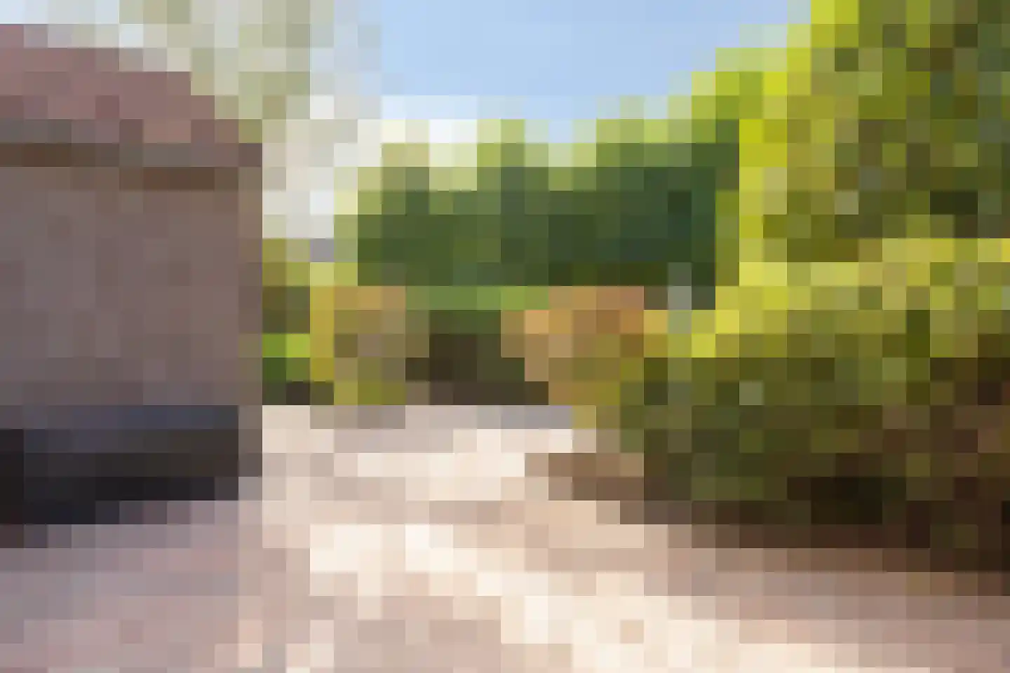 Draailier 43 Soest thumbnail 23