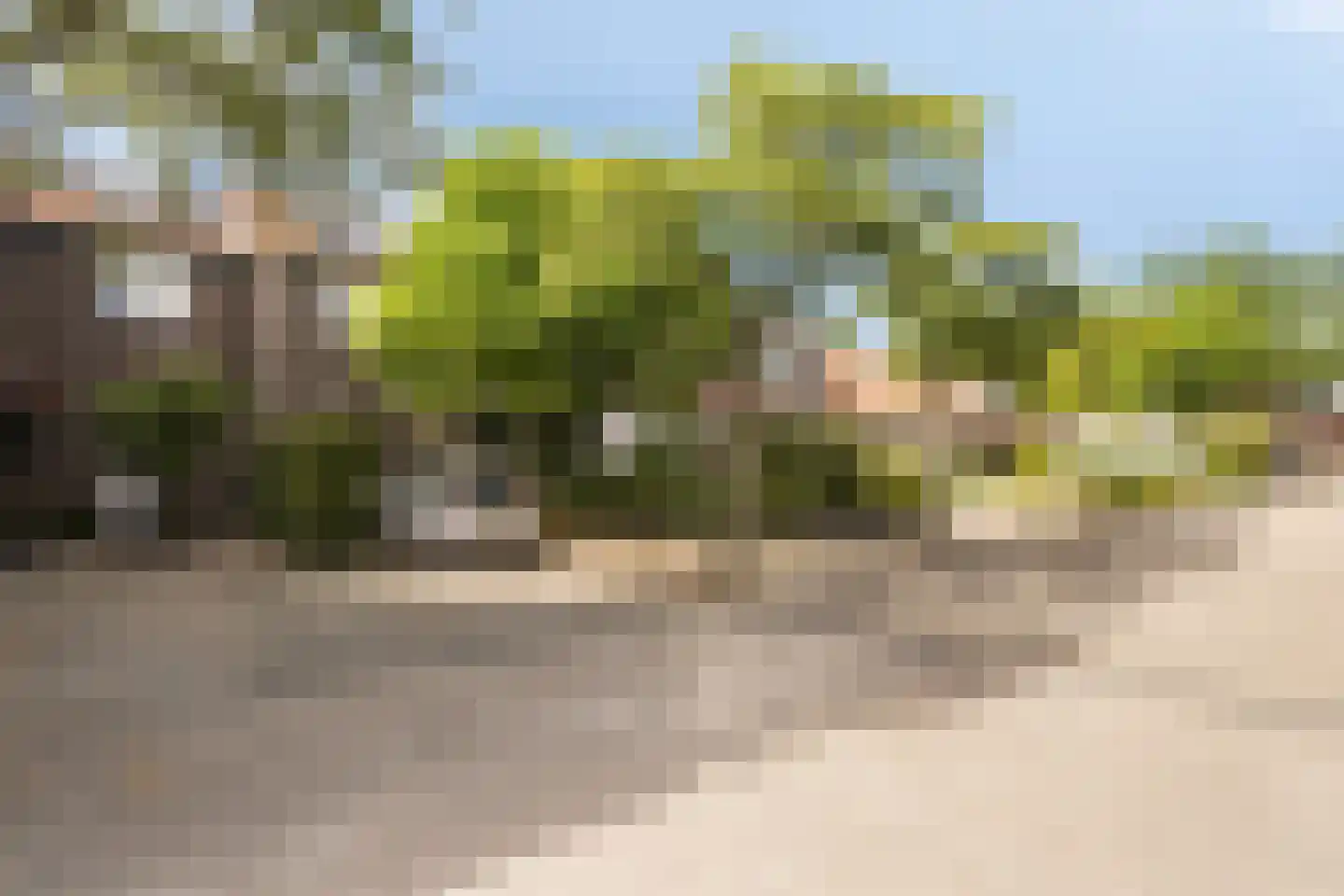 Draailier 43 Soest thumbnail 39
